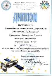 Достижения педагога дополнительного образования Чернышовой Ирины Николаевны